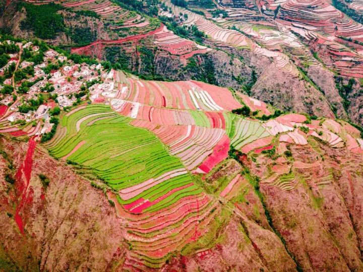 研學旅行實踐活動需在規(guī)范化的道路上才能長遠發(fā)展